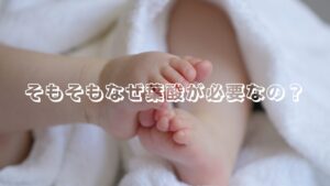 そもそもなぜ葉酸が必要なの？